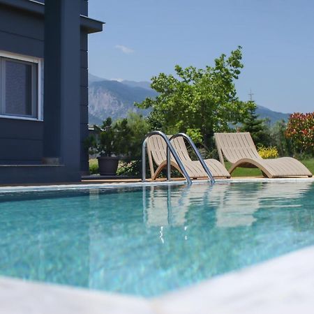Zeusplace Pool Villa Olympus Riviera Litochoro Exteriör bild